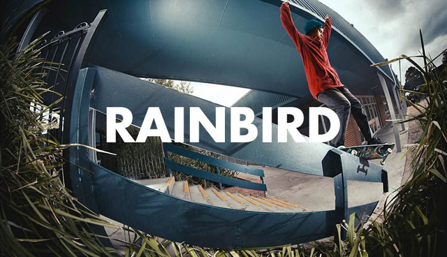 nike-sb-jason-rainbird